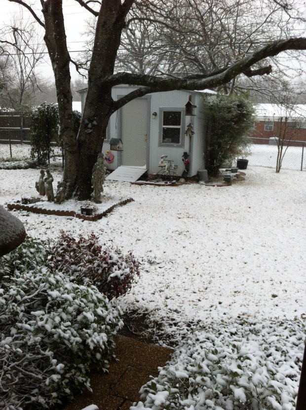 John D's iPhone Pics 318